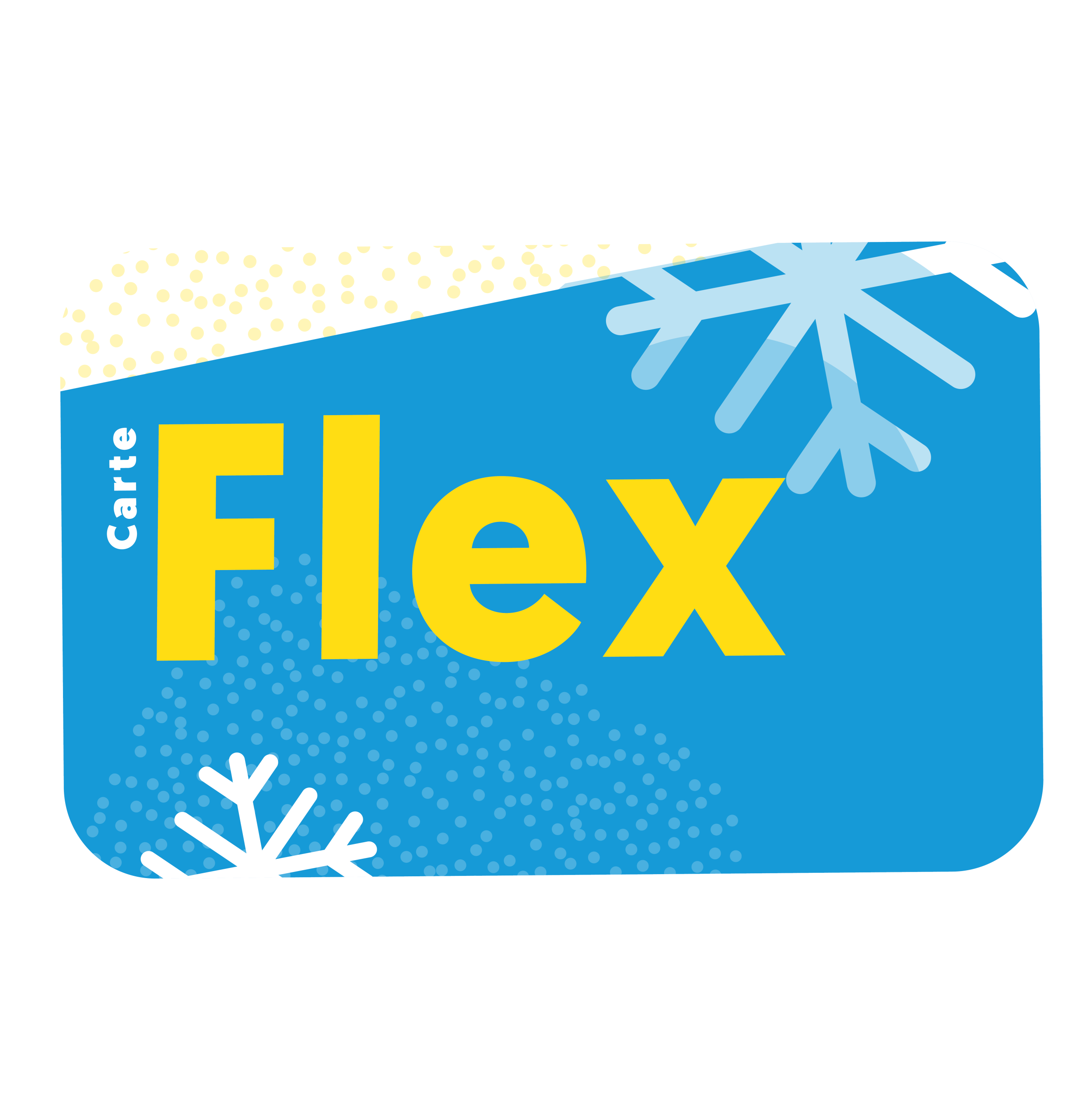 Carte Flex